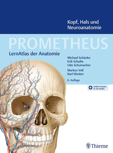 Prometheus kopf hals und - prometheus, kopf,