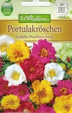 5215 Portulakröschen 'Gefüllte Prachtmischung 'hängend  Portulak Samen