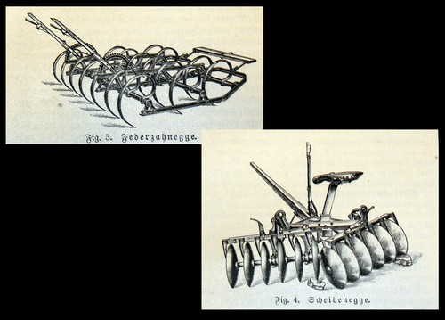Egge federzahnegge - egge,