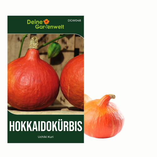 Hokkaido kürbis uchiki - kürbis,