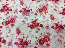 Rosen auf weißem Hintergrund