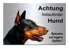 Freilaufender-Dobermann-20x15+30x20cm Alu-Edelstahl-Optik-Schild-Warnschild-Hund