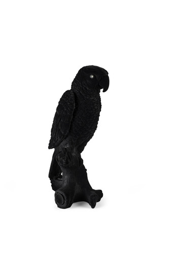 Bold monkey papagei - lampe,