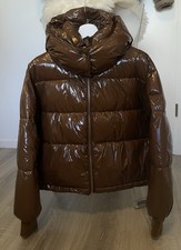 Eine Braune Glänzende