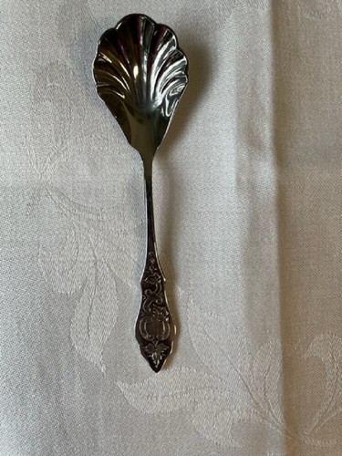 Bsf zuckerlöffel muschel - bsf,