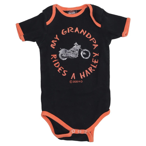 Harley davidson body - harley,