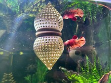 Schwimmende Aquarium Versteck