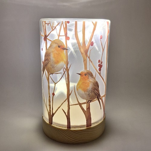 Led deko licht mit - licht, rotkehlchen