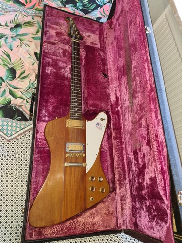 Gibson firebird gitarre - firebird, e-gitarre