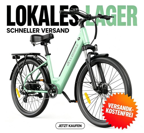 Allgobike 250w bike 36v - 250w, 15ah