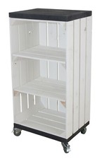 Regal mit 2 Mittelbretter in