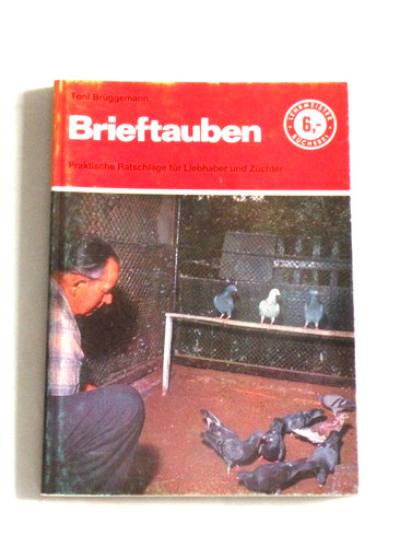 623 brüggemann brieftauben - brüggemann,,