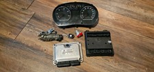 Original VW Polo 9N 1,4 TDI Steuergerät Motor Schlüssel Tacho SET 045906019BH  