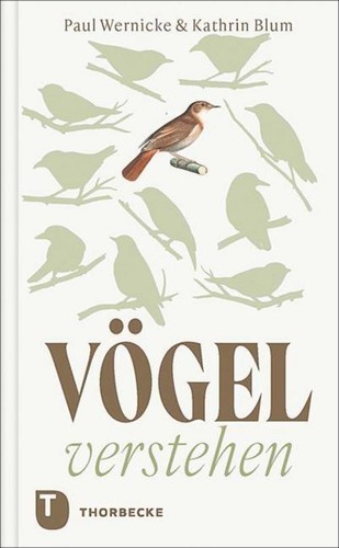 Paul wernicke vögel verstehen - wernicke,