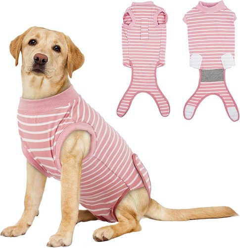 Body hund kastration op - op,