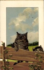 Litho Glückwunsch Pfingsten, Katzenbabys am Gartenzaun - 4357449