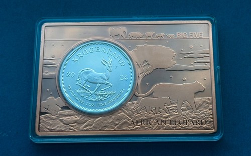 Silber krügerrand 2024 - silber,