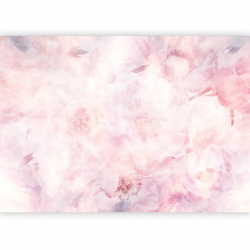 Fototapete blumen rose - fototapete,