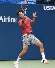 DOMINIC THIEM PROFESSIONAL