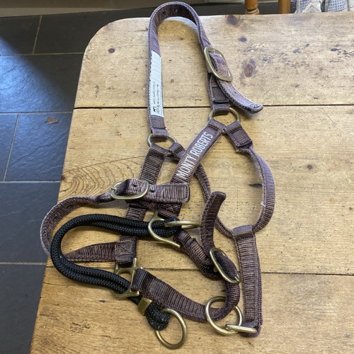 Monty roberts doppeltes - roberts,