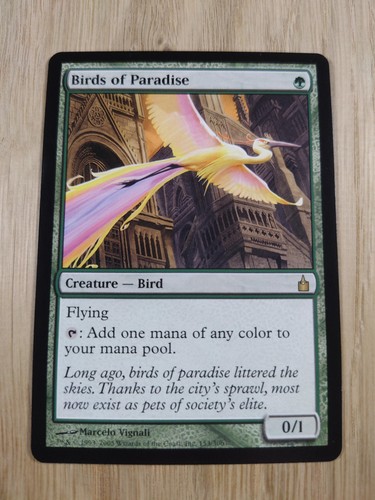 Birds paradise eng - birds, of