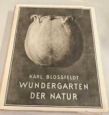 Buch karl blossfeldt - buch,