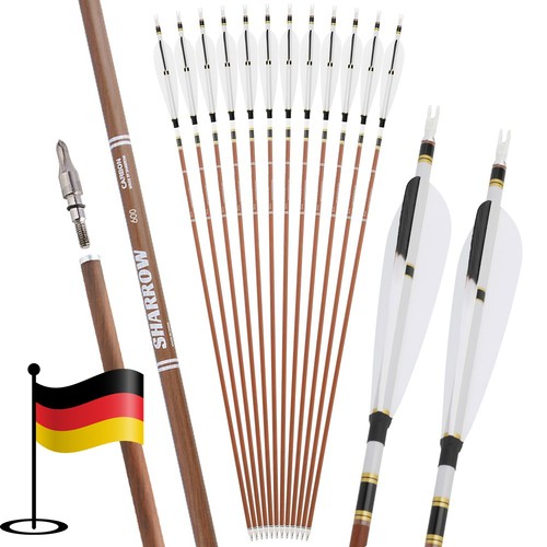 12x31 pure carbon pfeile - carbon,