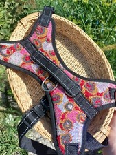 Geschirr für einen Hund von