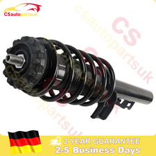 Vorne Federbein Links oder