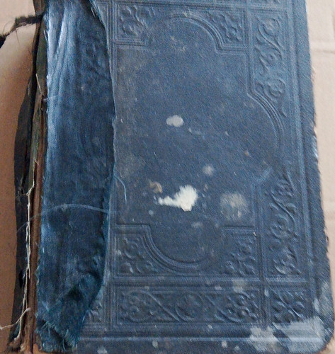 Martin luther bibel gebundene - martin,