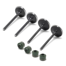 Einlassventil Auslassventil