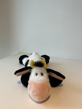 Nici Kuh 1. Generation liegend