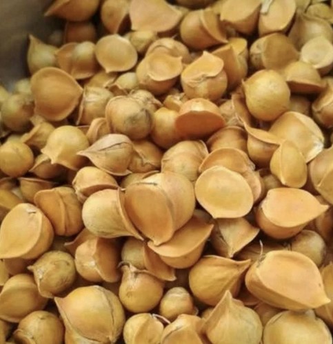Himalaya wild single clove - himalaya,
