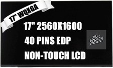 New 240hz Display for MSI