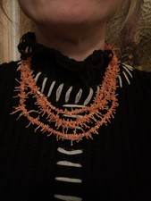 Korallenkette Astkoralle