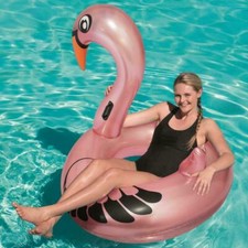 Schwimmring Flamingo / Schwan