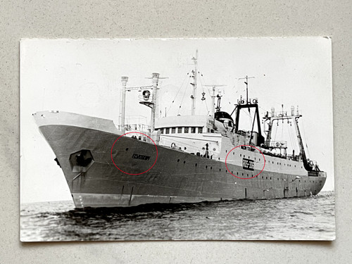 Orig foto schiff ros - orig.foto, 306