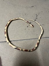 Gummi Natter Schlange Spielzeug handbemalt Realistisch 