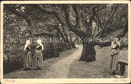 Domburg waldweg trachten - domburg,