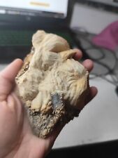 XL Baryt Sandrose Pyrit SELTEN Schwertspat Mineralien MineralSteine Minerale