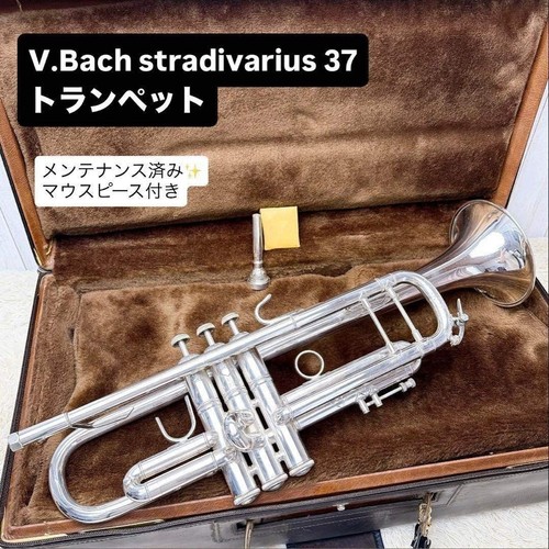 Bach stradivarius trompete - stradivarius,