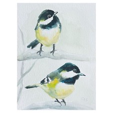 Meise Original Wasserfarben