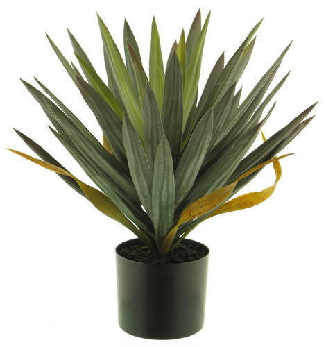 Künstliche yucca palme mit - yucca,