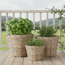 Pflanztopf aus Rattan im 3er