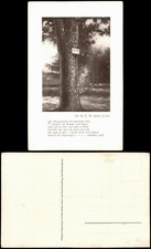 Ansichtskarte Bad Mergentheim