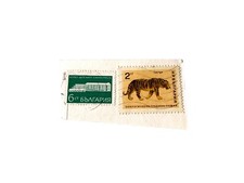 Einzigartige Arrangement