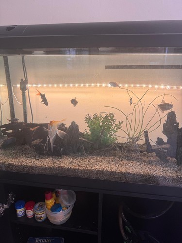 Aquarium 200 liter mit - liter,