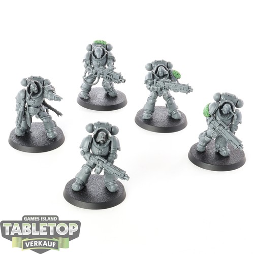 Space wolves 5x heavy - wolves,