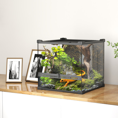 Reptilien terrarium schwarz - terrarium,