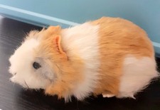 Steiff Meerschweinchen Länge 22cm weiß/hellbraun 70er/80er Jahre